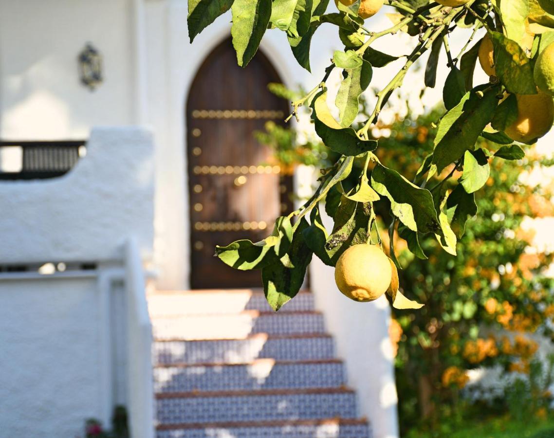 Yellow Jasper - Gemstone Getaway Marbella Luaran gambar