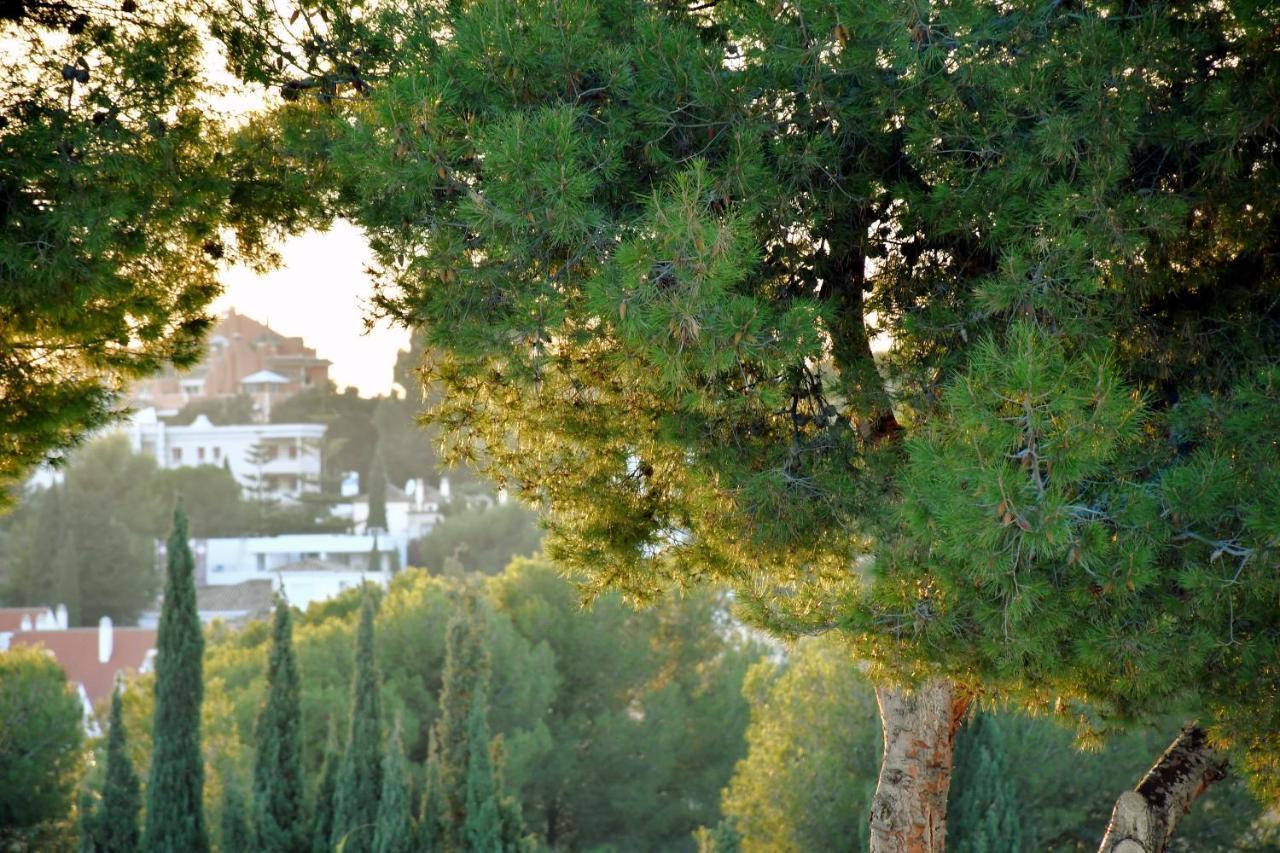 Yellow Jasper - Gemstone Getaway Marbella Luaran gambar